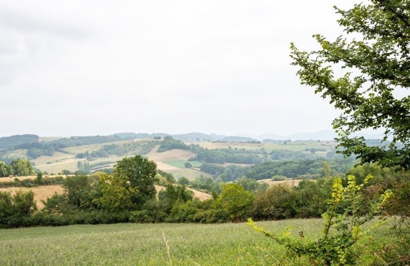 Top 5 des itinéraires de randonnée adaptés aux familles dans le sud de la France